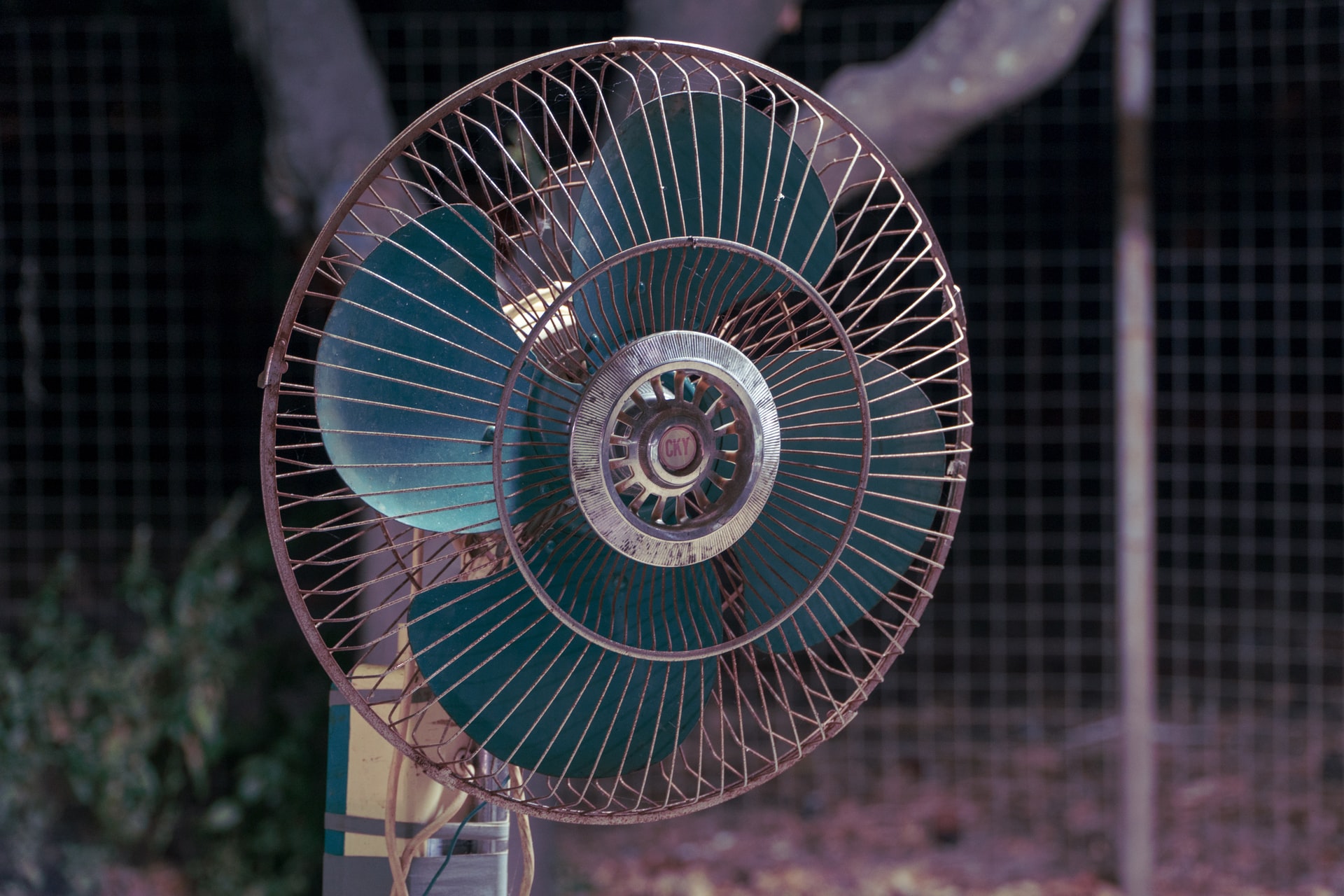 Fan Heatwave